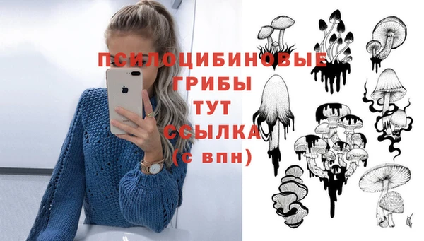метамфетамин Алексеевка