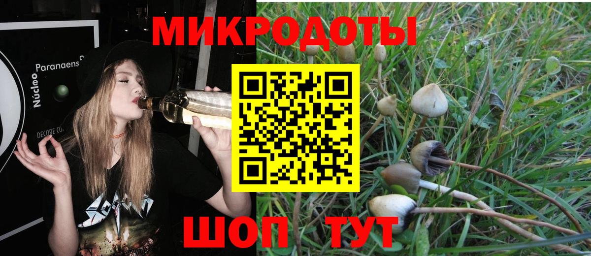 Галлюциногенные грибы прущие грибы Амурск