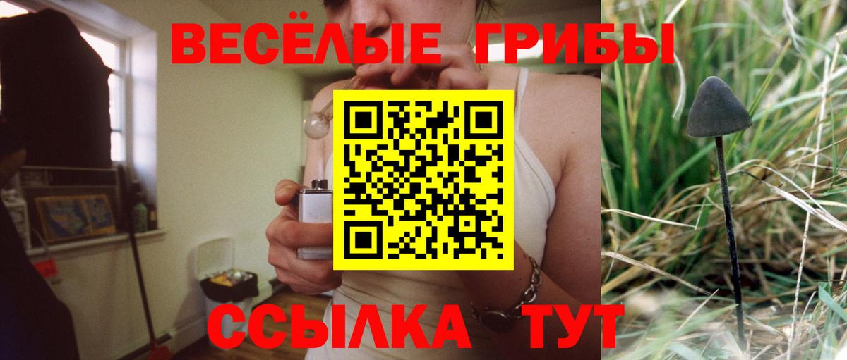 Галлюциногенные грибы прущие грибы  Вход с VPN  Амурск 
